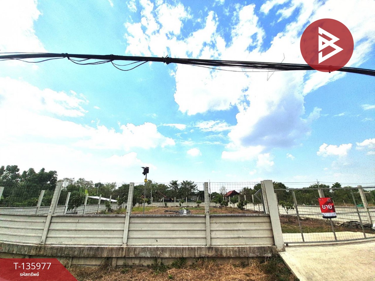 ขายที่ดิน เนื้อที่ 2 งาน คลองหลวง ปทุมธานี 10