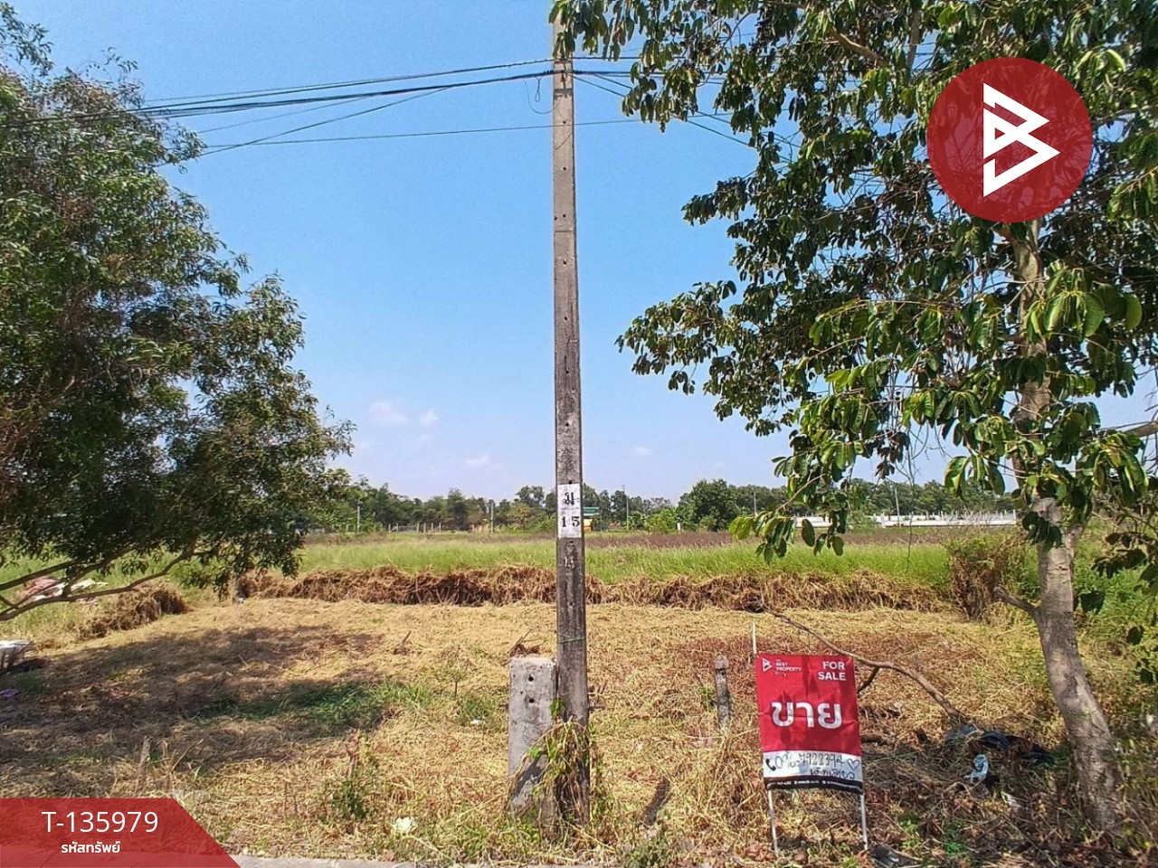ขายที่ดิน เนื้อที่ 1 งาน มีนบุรี กรุงเทพมหานคร 1