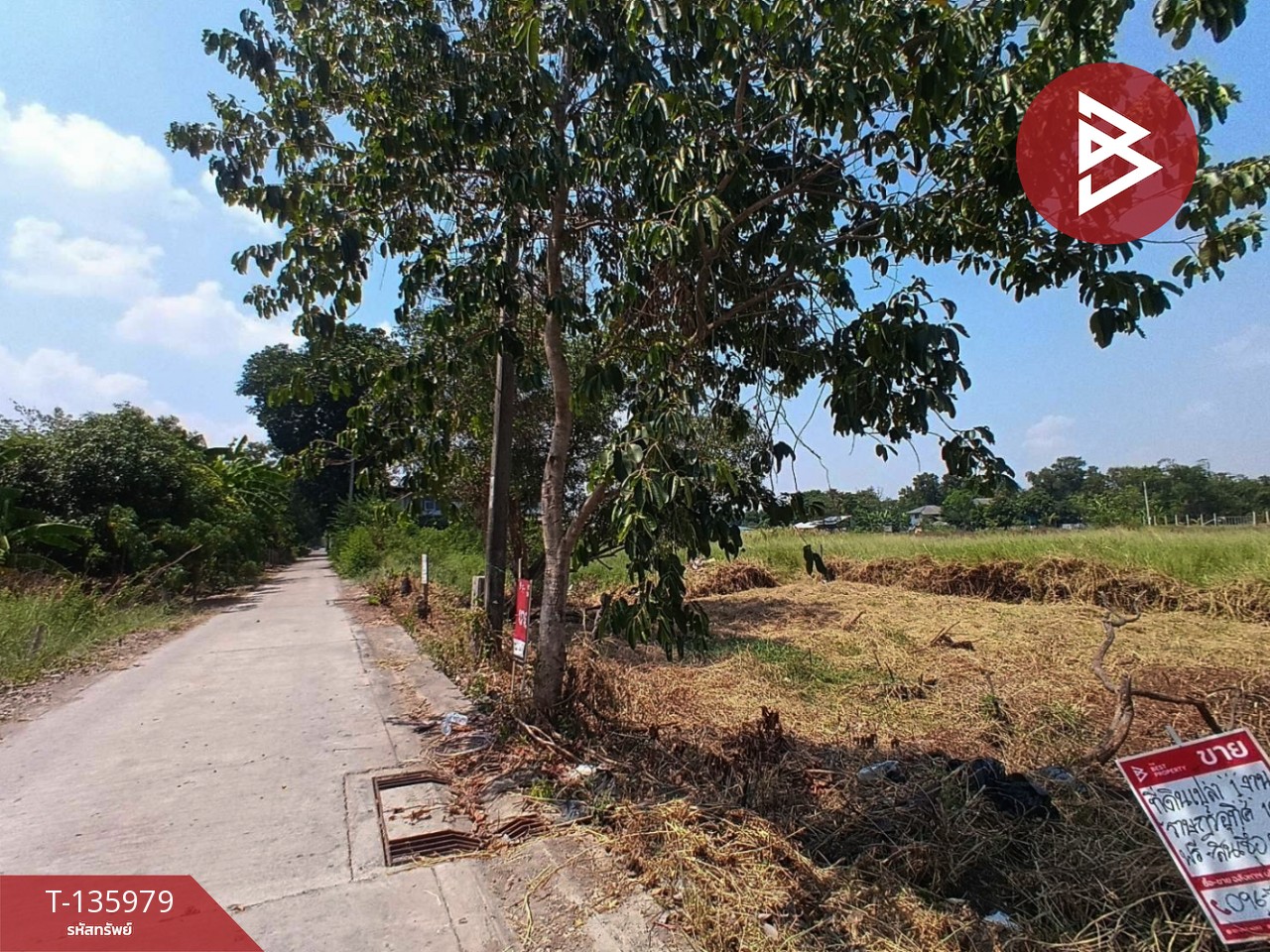 ขายที่ดิน เนื้อที่ 1 งาน มีนบุรี กรุงเทพมหานคร 5