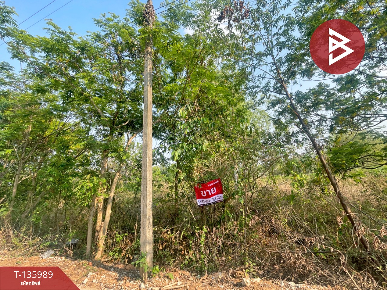 ขายที่ดิน เนื้อที่ 80 ตร.วา อุบลรัตน์ ขอนแก่น 9