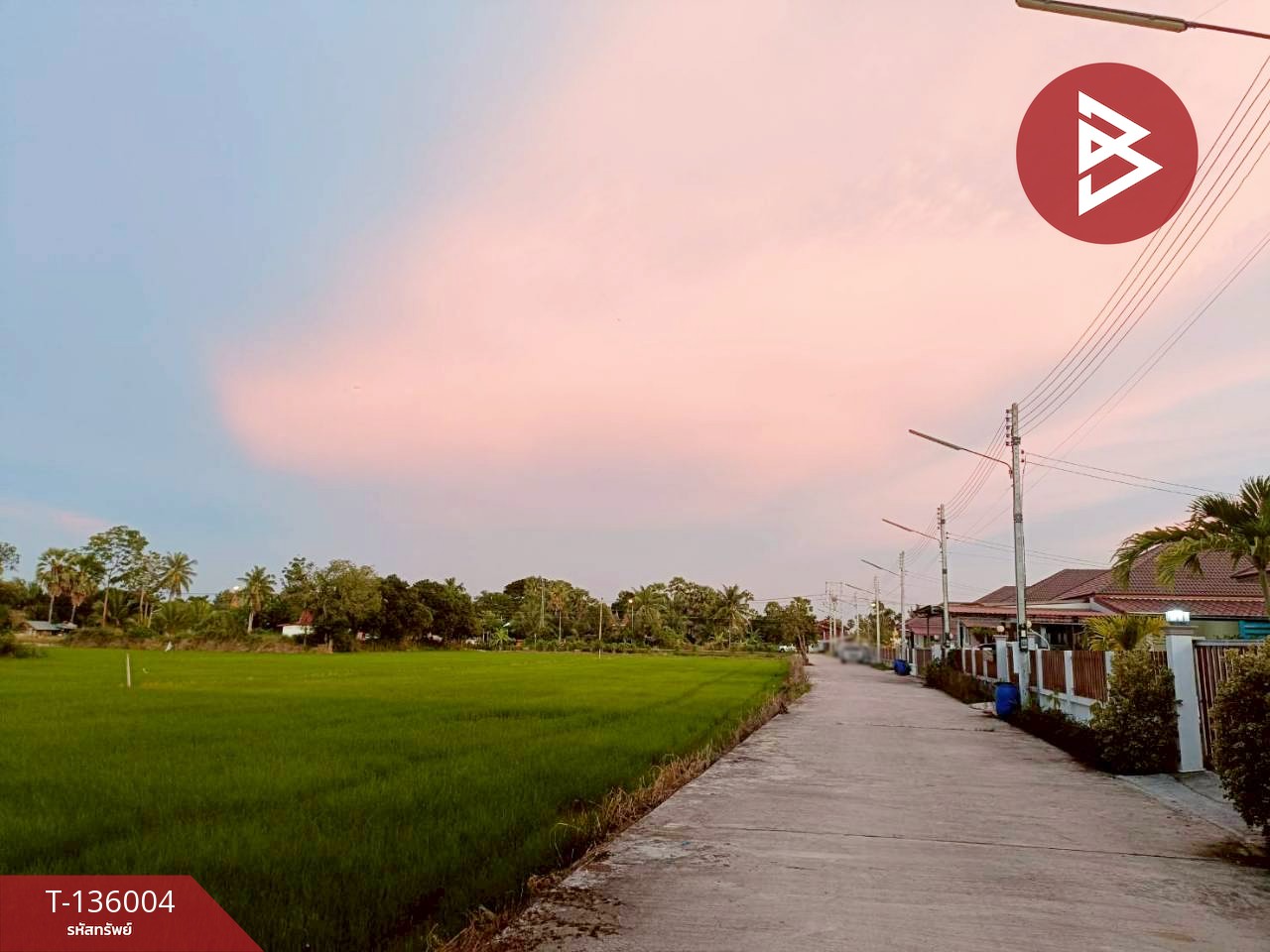 ขายบ้านเดี่ยวชั้นเดียวสไตล์โมเดิร์น เนื้อที่ 115 ตารางวา บ้านลาด เพชรบุรี 12