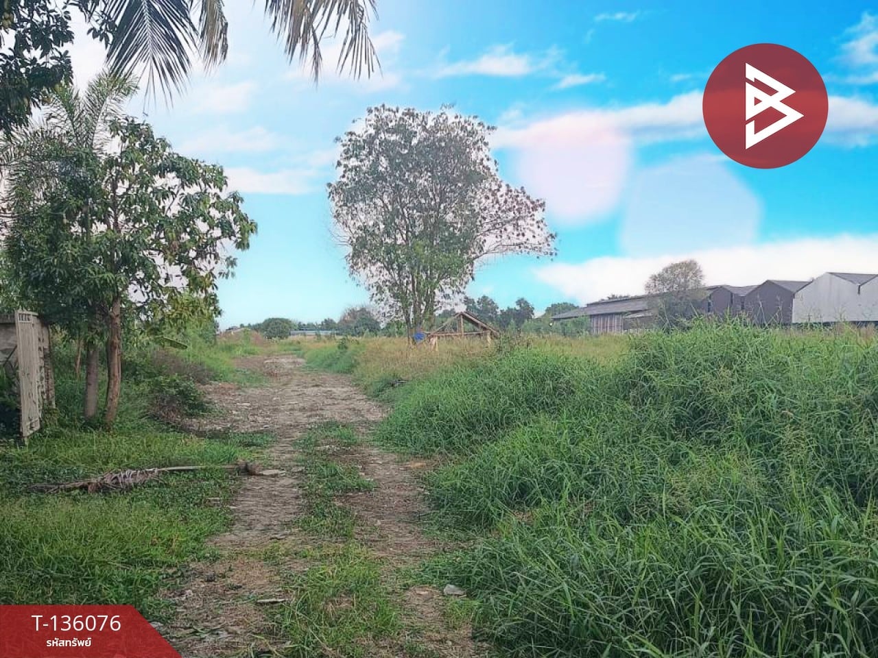 ขายที่ดิน 2 แปลง เนื้อที่ 300 ตร.วา ถนนร่มเกล้า ลาดกระบัง กรุงเทพฯ 4