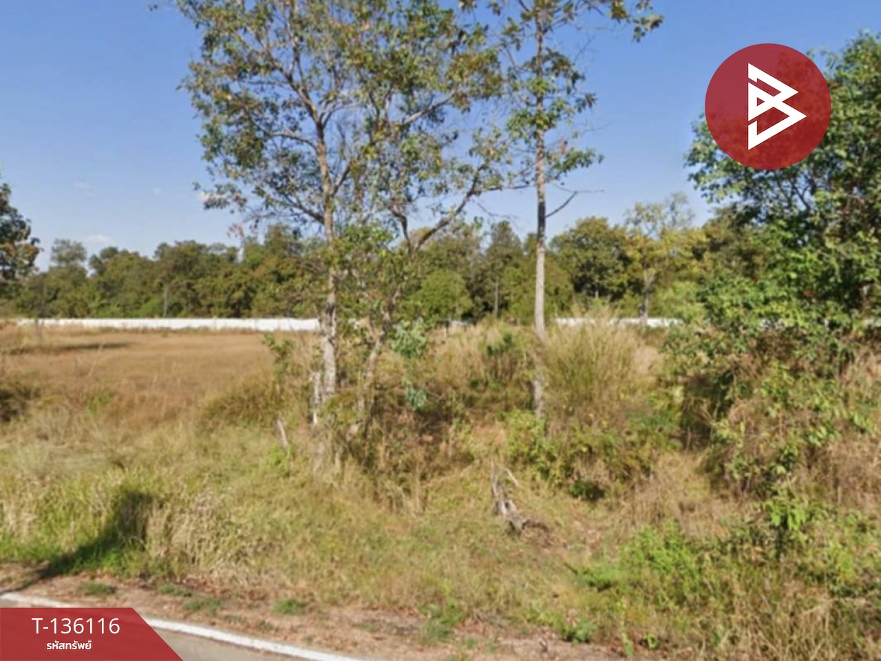 ขายที่ดิน เนื้อที่ 2 ไร่ 1 งาน 59 ตร.วา เสลภูมิ ร้อยเอ็ด 11