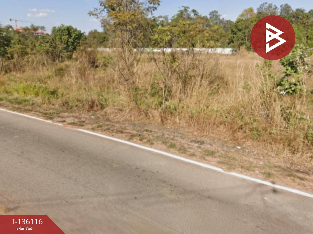 ขายที่ดิน เนื้อที่ 2 ไร่ 1 งาน 59 ตร.วา เสลภูมิ ร้อยเอ็ด 12