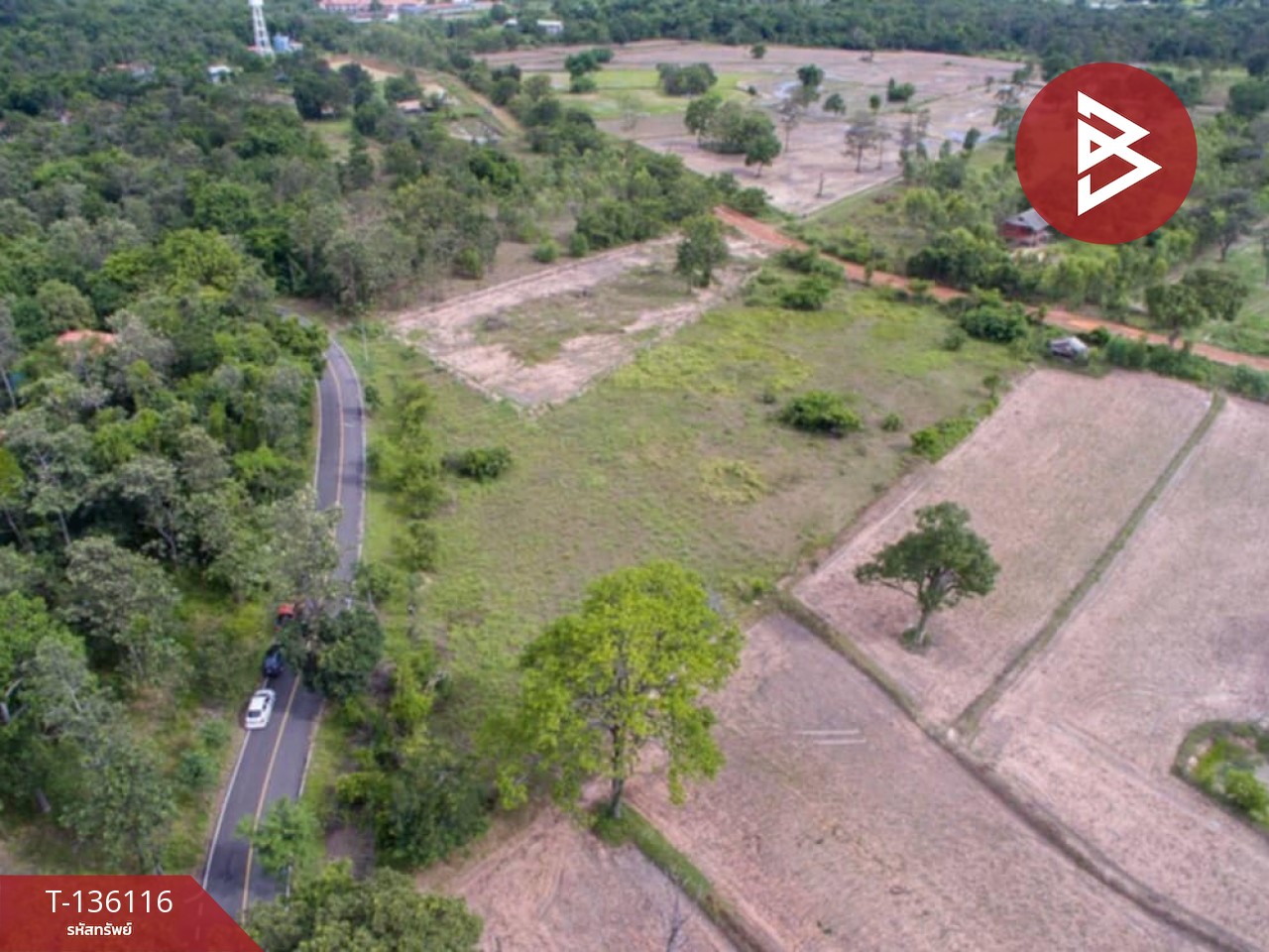 ขายที่ดิน เนื้อที่ 2 ไร่ 1 งาน 59 ตร.วา เสลภูมิ ร้อยเอ็ด 4