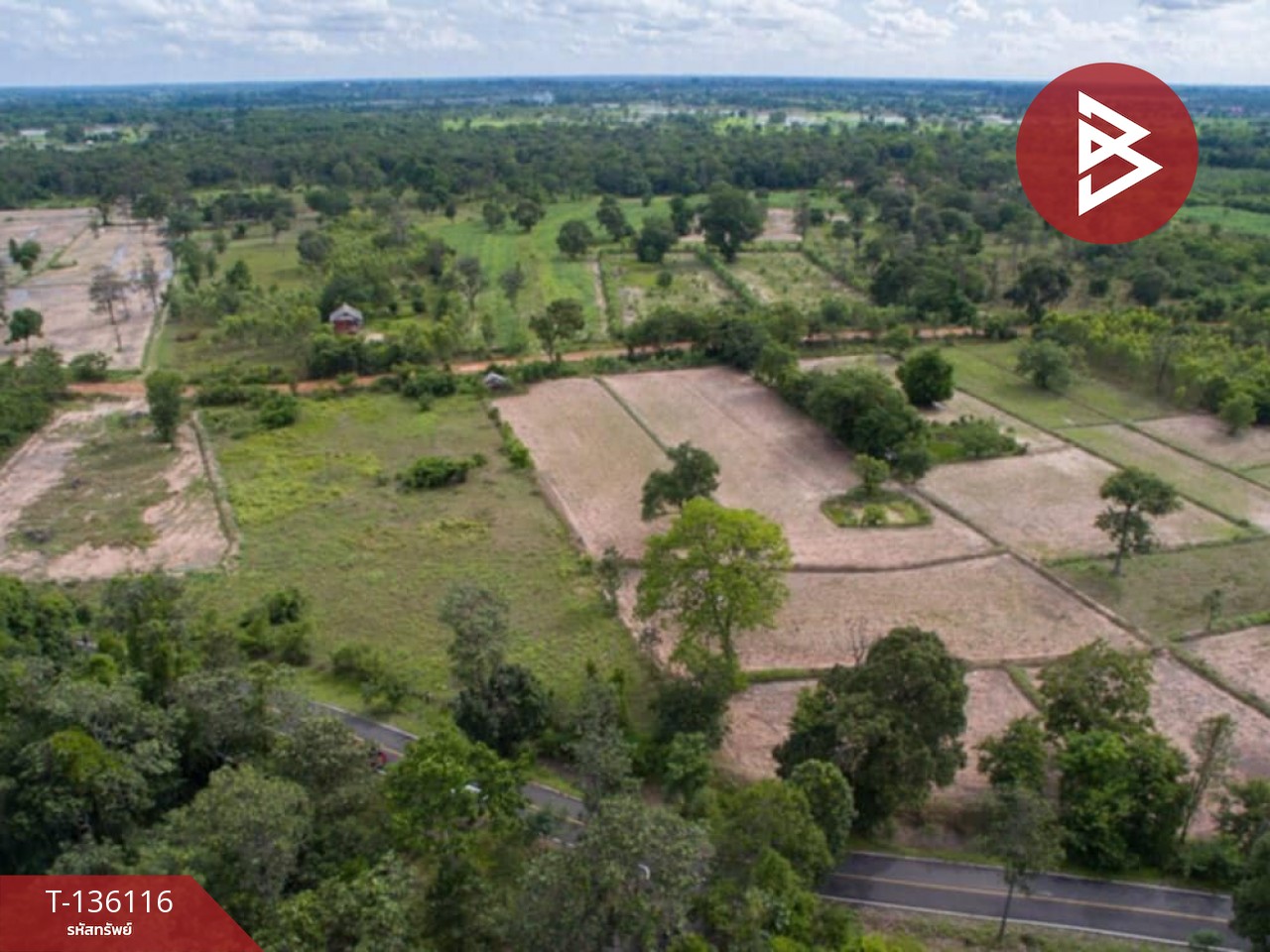 ขายที่ดิน เนื้อที่ 2 ไร่ 1 งาน 59 ตร.วา เสลภูมิ ร้อยเอ็ด 3