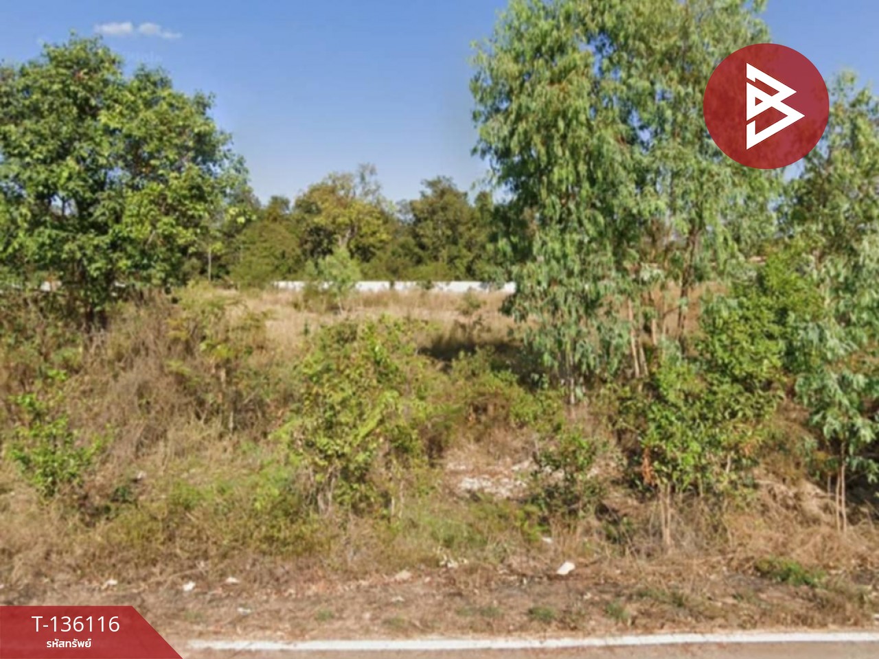 ขายที่ดิน เนื้อที่ 2 ไร่ 1 งาน 59 ตร.วา เสลภูมิ ร้อยเอ็ด 10