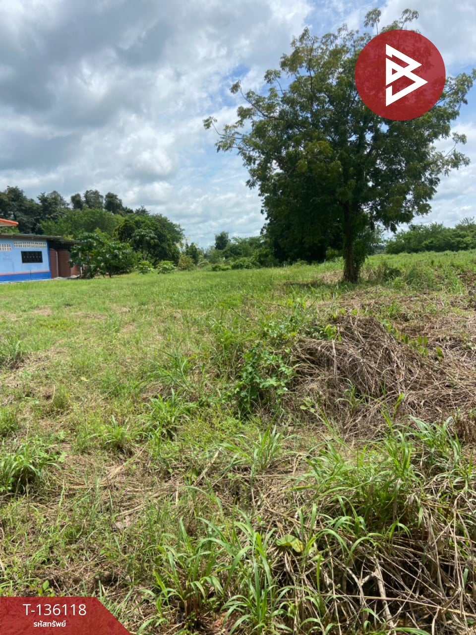 ขายที่ดิน เนื้อที่ 1 ไร่ 2 งาน 6 ตร.วา บึงสามพัน เพชรบูรณ์ 2