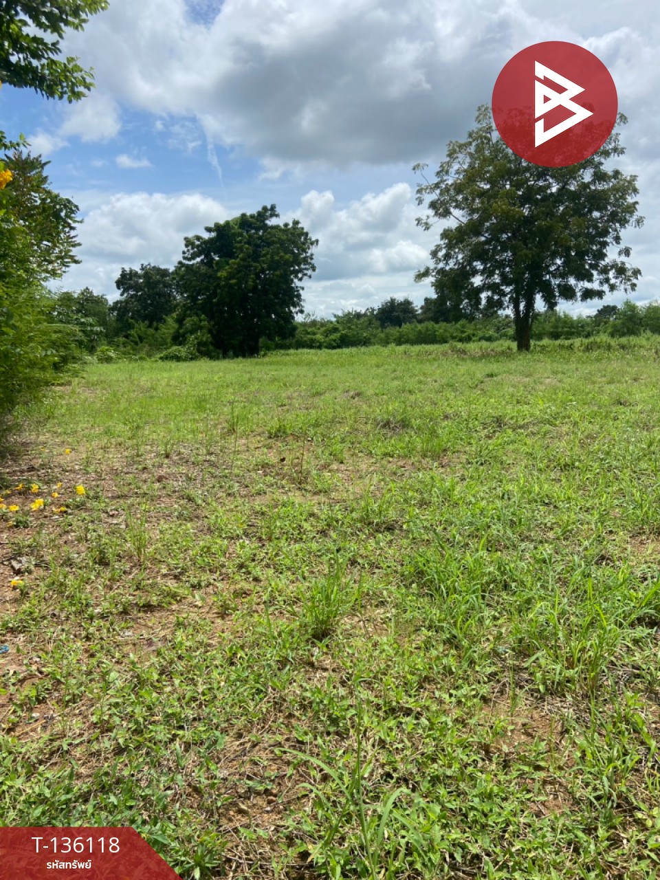 ขายที่ดิน เนื้อที่ 1 ไร่ 2 งาน 6 ตร.วา บึงสามพัน เพชรบูรณ์ 1