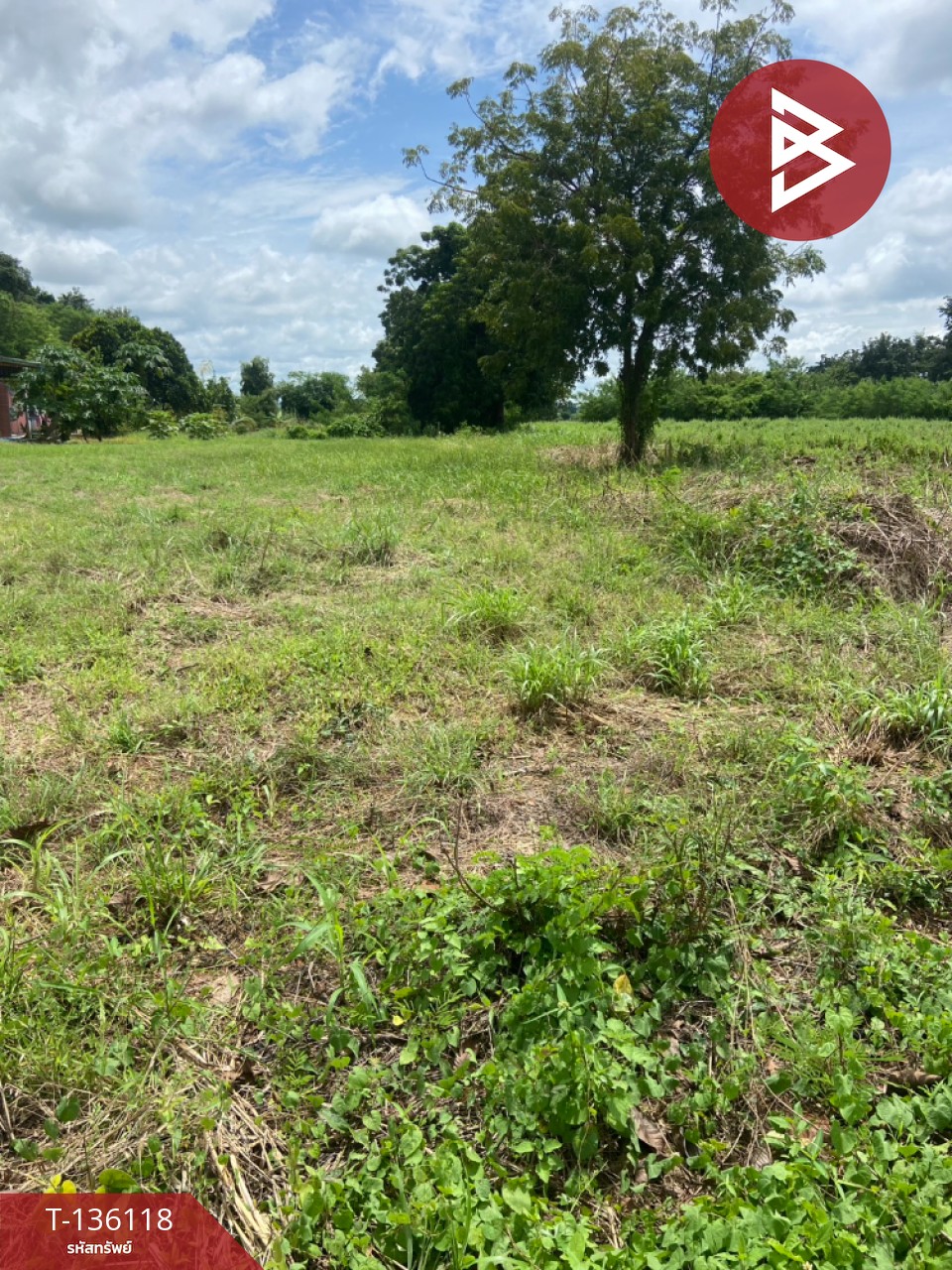 ขายที่ดิน เนื้อที่ 1 ไร่ 2 งาน 6 ตร.วา บึงสามพัน เพชรบูรณ์ 3