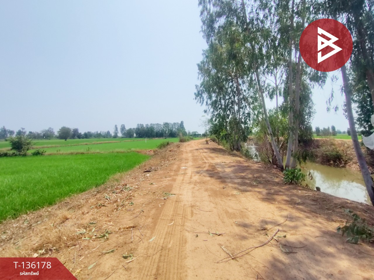 ขายที่ดิน เนื้อที่ 13 ไร่ 3 งาน 60 ตร.วา พิชัย อุตรดิตถ์ 10