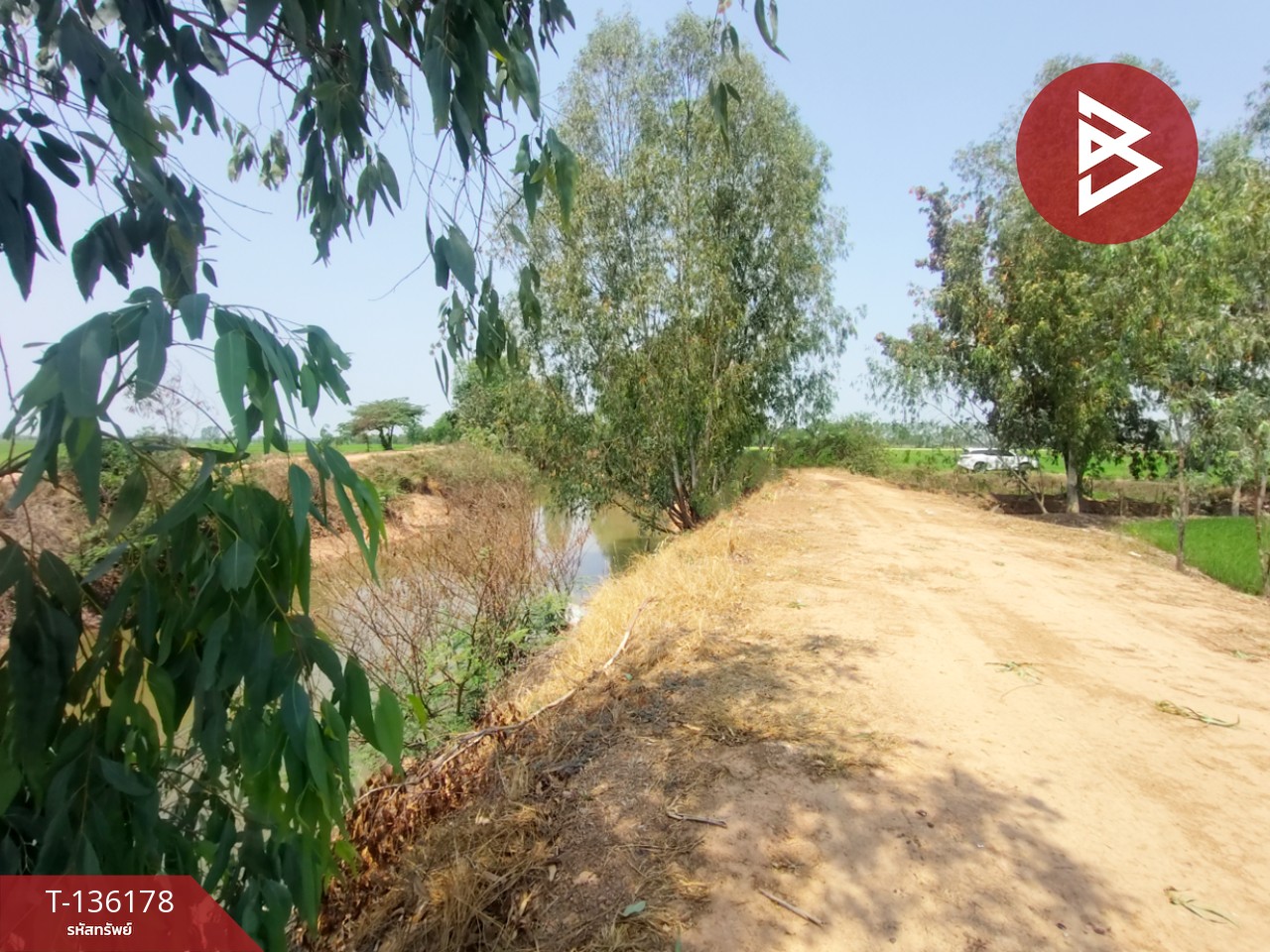 ขายที่ดิน เนื้อที่ 13 ไร่ 3 งาน 60 ตร.วา พิชัย อุตรดิตถ์ 7