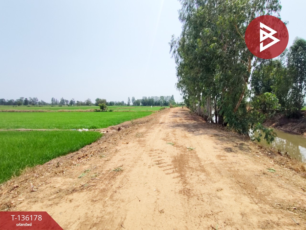 ขายที่ดิน เนื้อที่ 13 ไร่ 3 งาน 60 ตร.วา พิชัย อุตรดิตถ์ 3