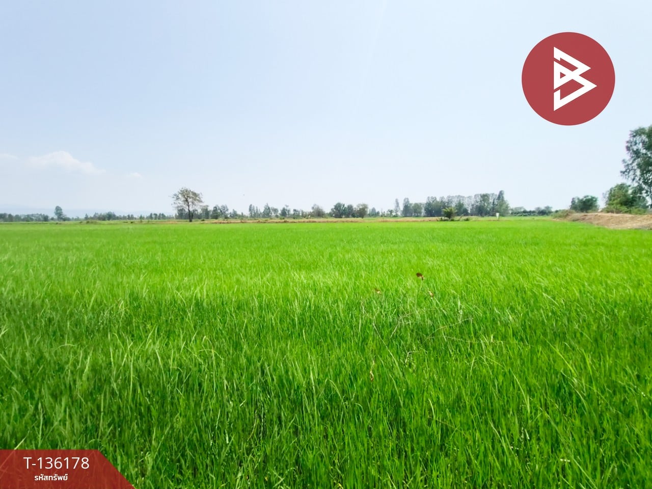 ขายที่ดิน เนื้อที่ 13 ไร่ 3 งาน 60 ตร.วา พิชัย อุตรดิตถ์ 1