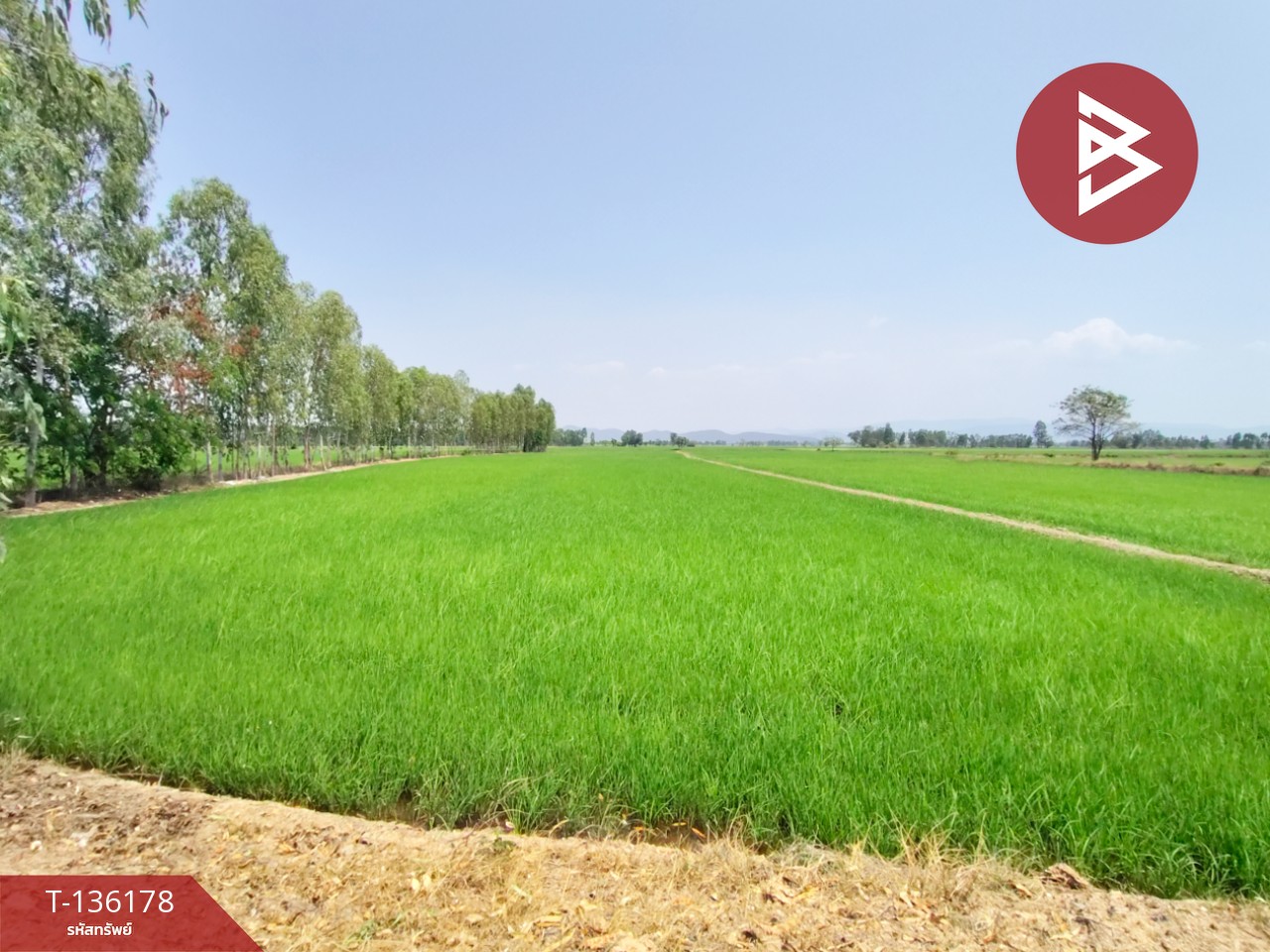 ขายที่ดิน เนื้อที่ 13 ไร่ 3 งาน 60 ตร.วา พิชัย อุตรดิตถ์ 2