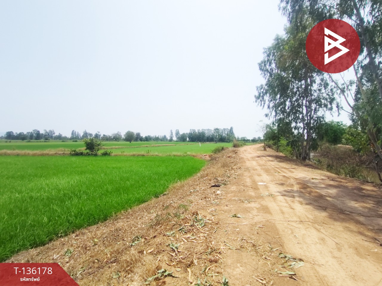 ขายที่ดิน เนื้อที่ 13 ไร่ 3 งาน 60 ตร.วา พิชัย อุตรดิตถ์ 9