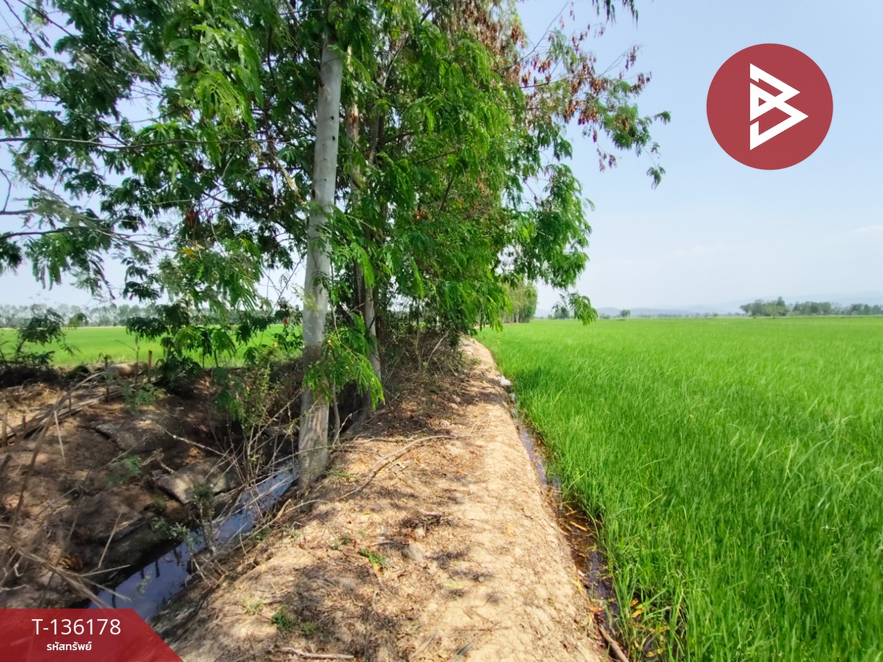 ขายที่ดิน เนื้อที่ 13 ไร่ 3 งาน 60 ตร.วา พิชัย อุตรดิตถ์ 13