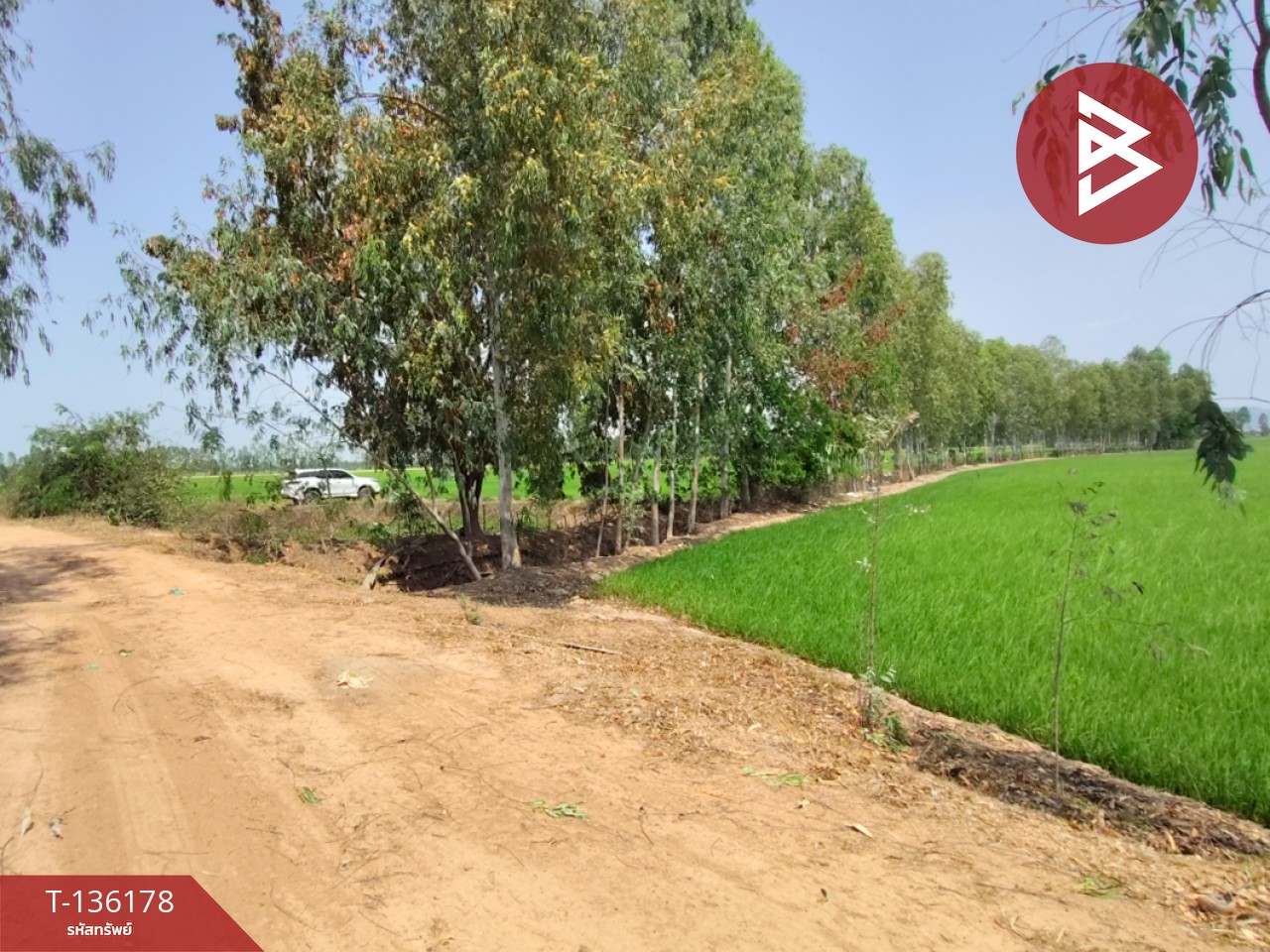 ขายที่ดิน เนื้อที่ 13 ไร่ 3 งาน 60 ตร.วา พิชัย อุตรดิตถ์ 8