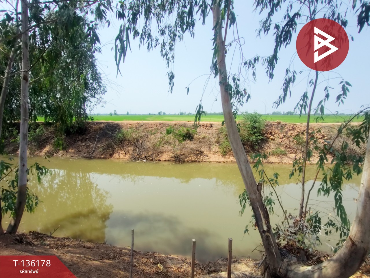 ขายที่ดิน เนื้อที่ 13 ไร่ 3 งาน 60 ตร.วา พิชัย อุตรดิตถ์ 11