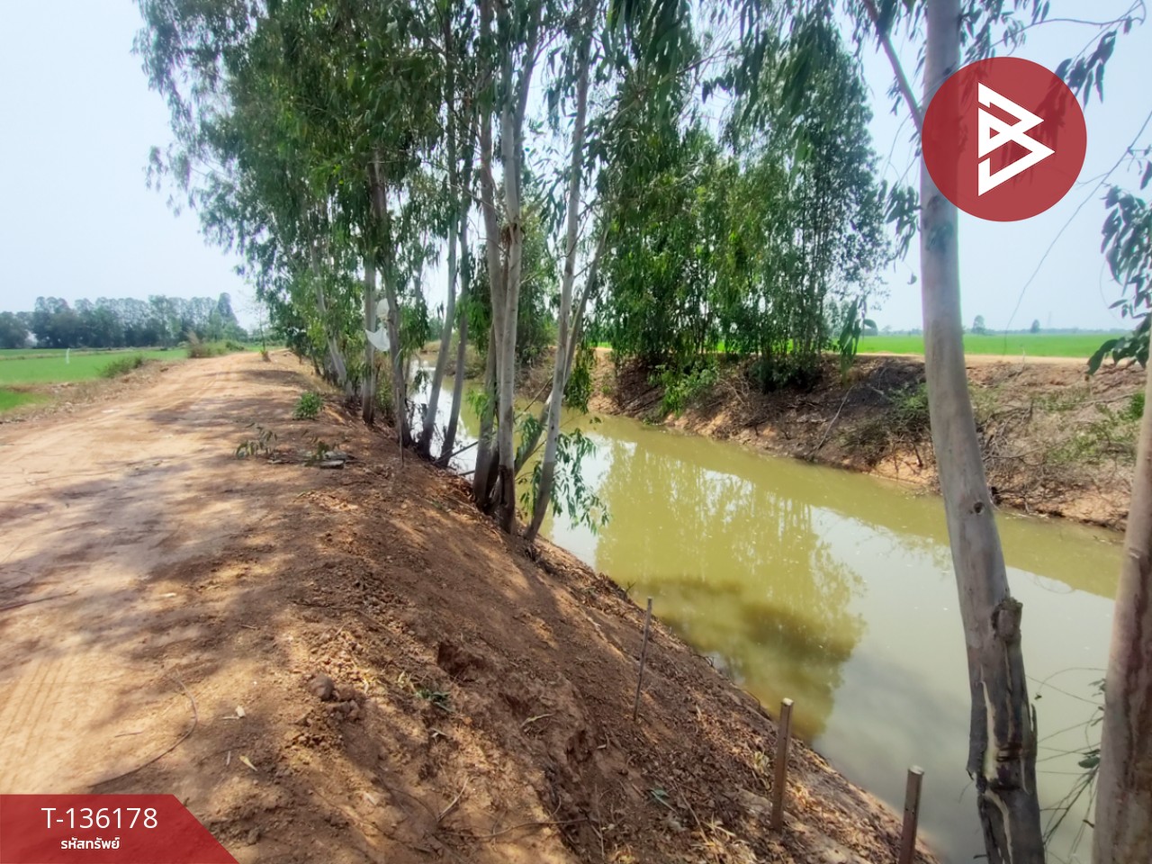 ขายที่ดิน เนื้อที่ 13 ไร่ 3 งาน 60 ตร.วา พิชัย อุตรดิตถ์ 14