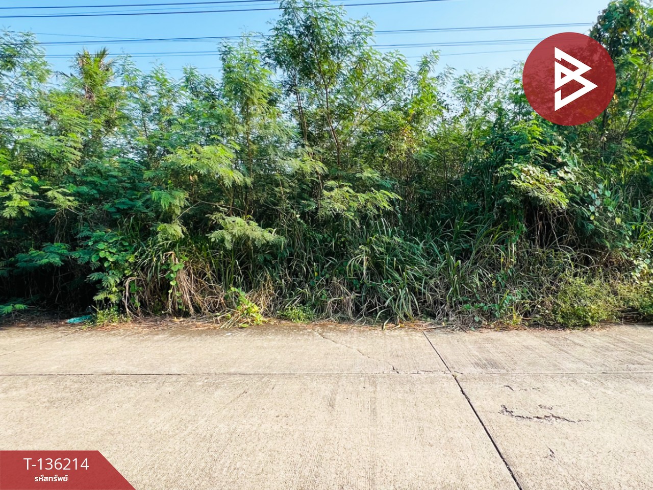 ขายที่ดินจัดสรร เนื้อที่ 200 ตารางวา บ้านแพ้ว สมุทรสาคร 6