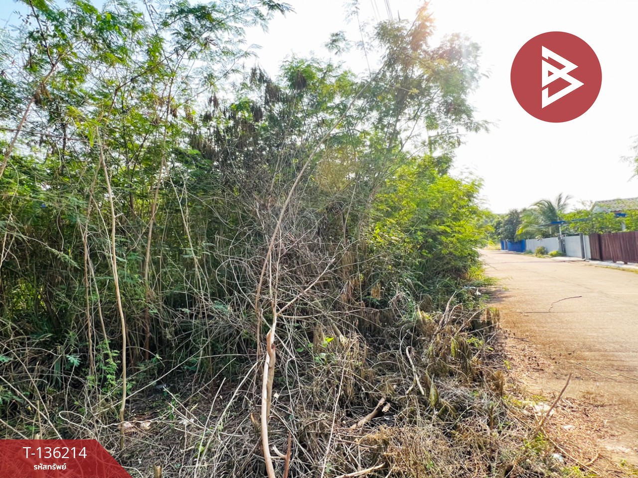 ขายที่ดินจัดสรร เนื้อที่ 200 ตารางวา บ้านแพ้ว สมุทรสาคร 7