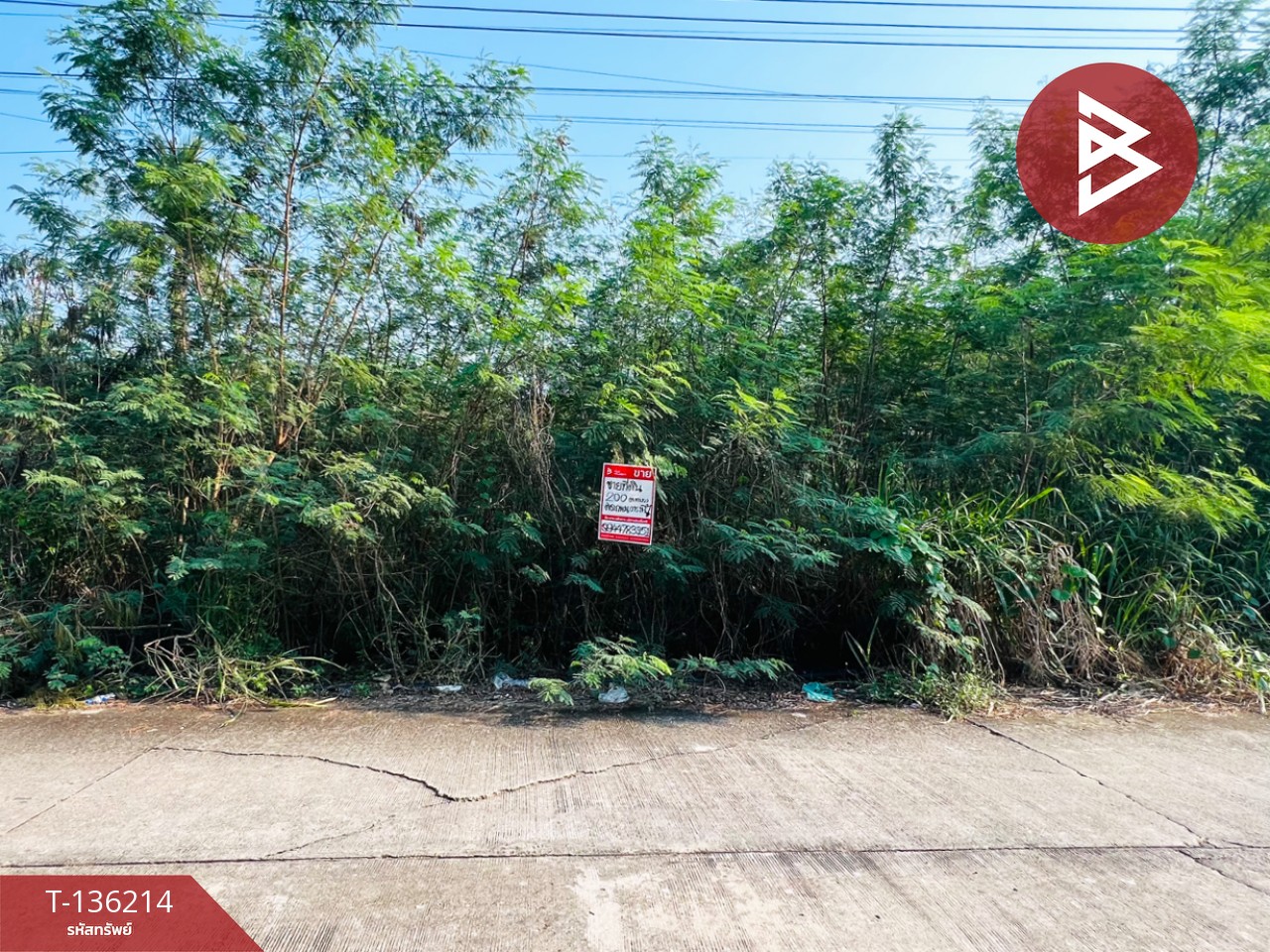 ขายที่ดินจัดสรร เนื้อที่ 200 ตารางวา บ้านแพ้ว สมุทรสาคร 1