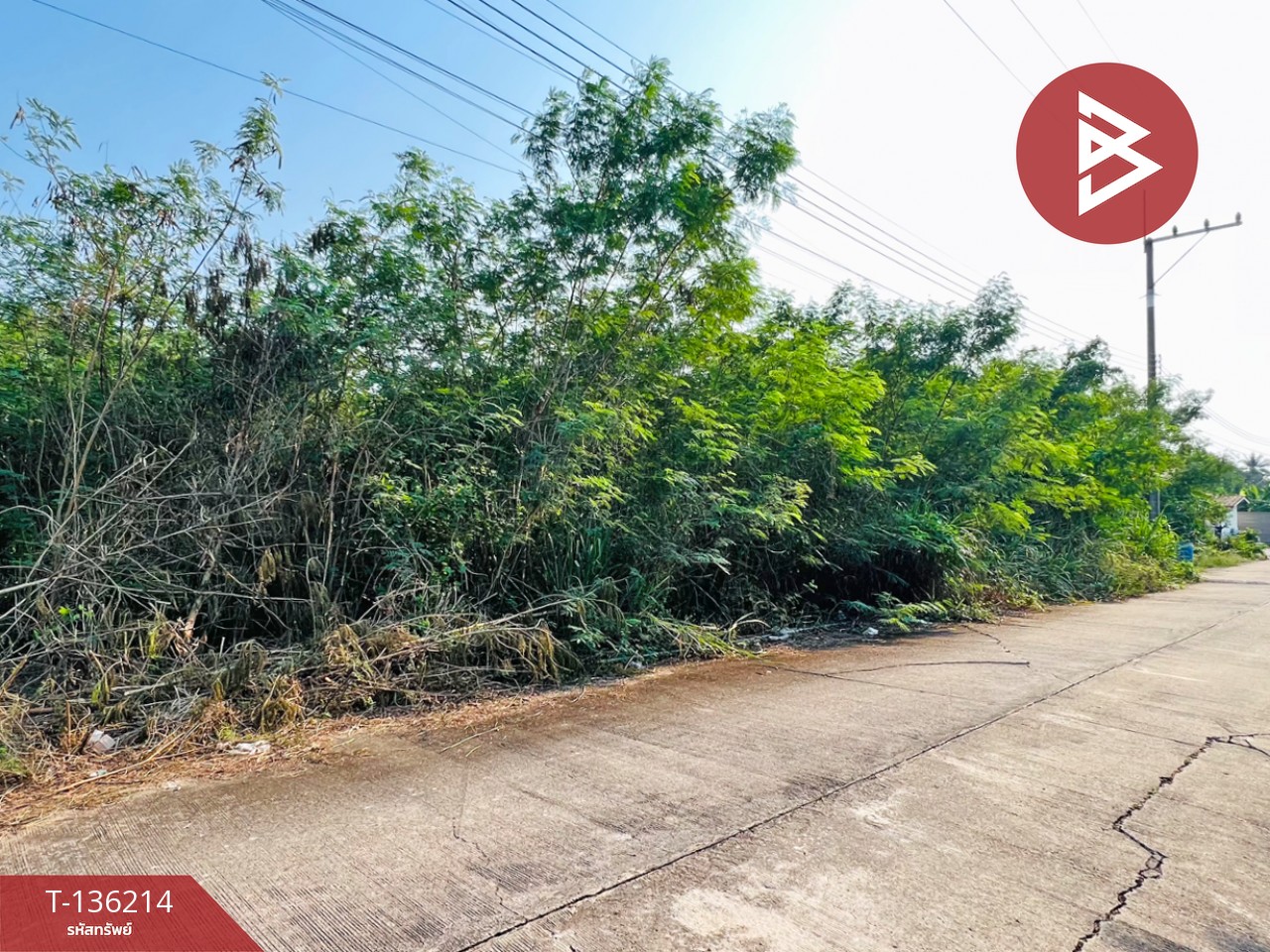 ขายที่ดินจัดสรร เนื้อที่ 200 ตารางวา บ้านแพ้ว สมุทรสาคร 2