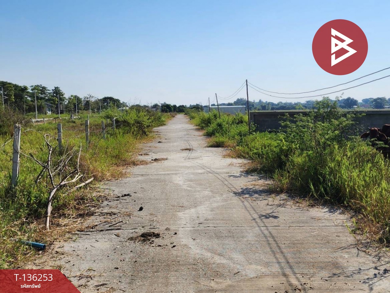 ขายที่ดิน เนื้อที่ 1 งาน หางดง เชียงใหม่ 4