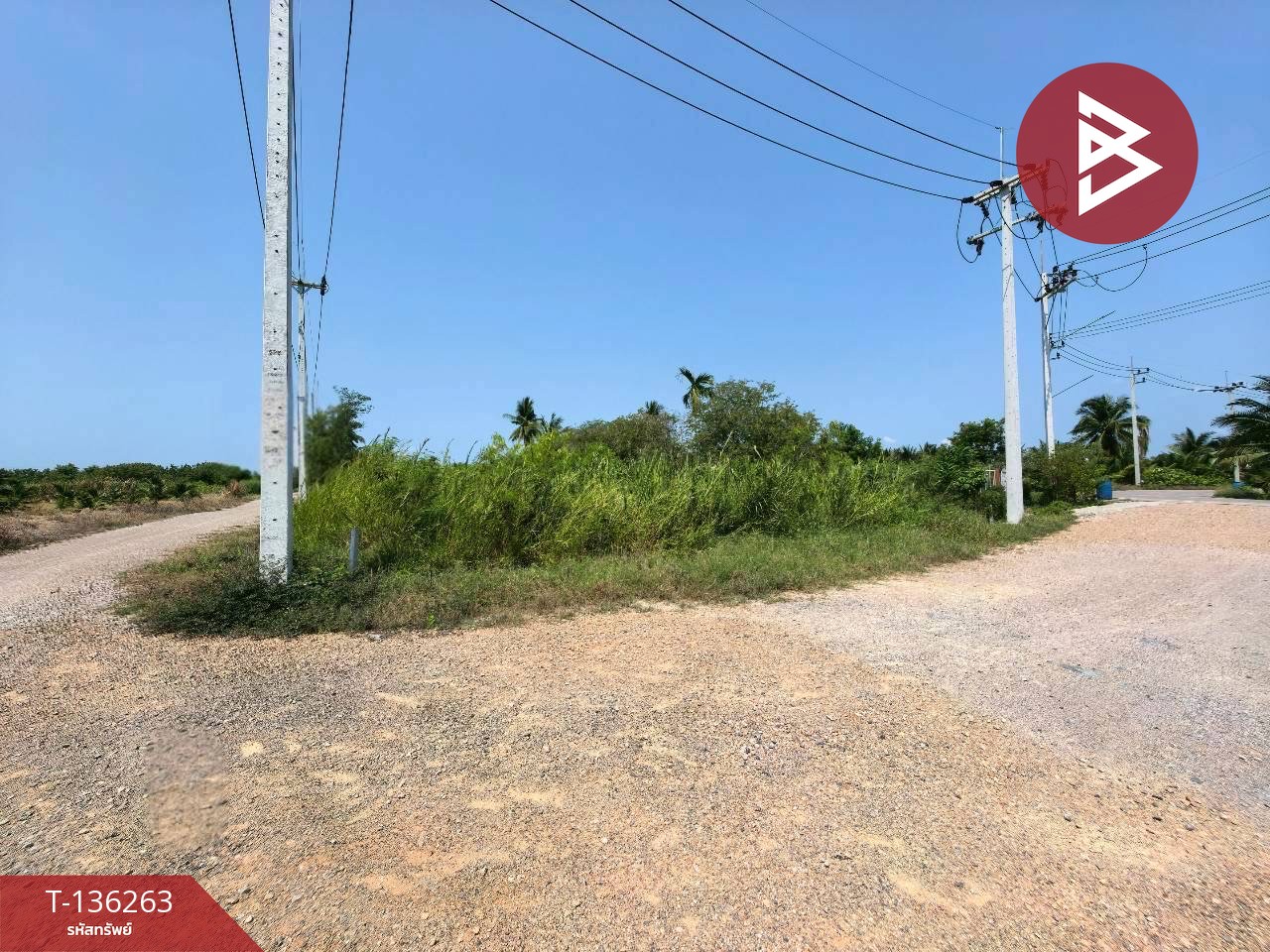 ขายที่ดิน เนื้อที่ 3 งาน ชัยมงคล สมุทรสาคร 5