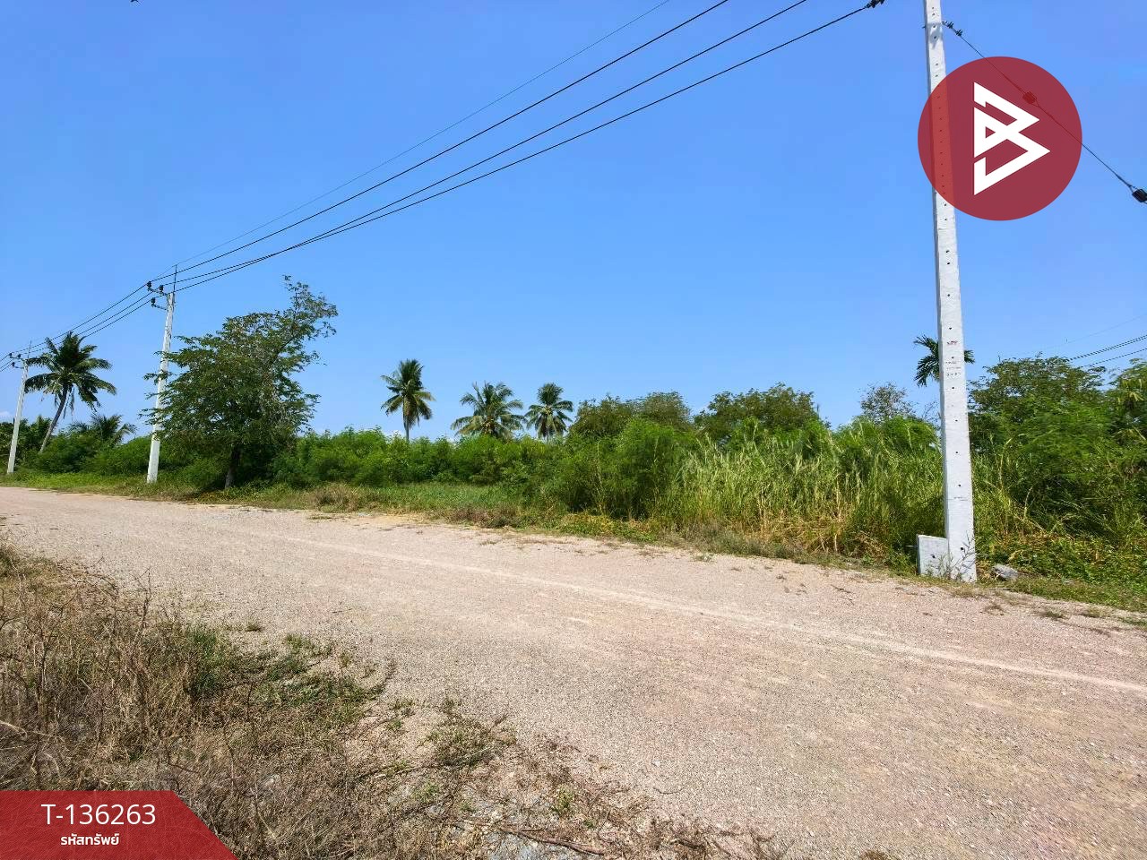 ขายที่ดิน เนื้อที่ 3 งาน ชัยมงคล สมุทรสาคร 3