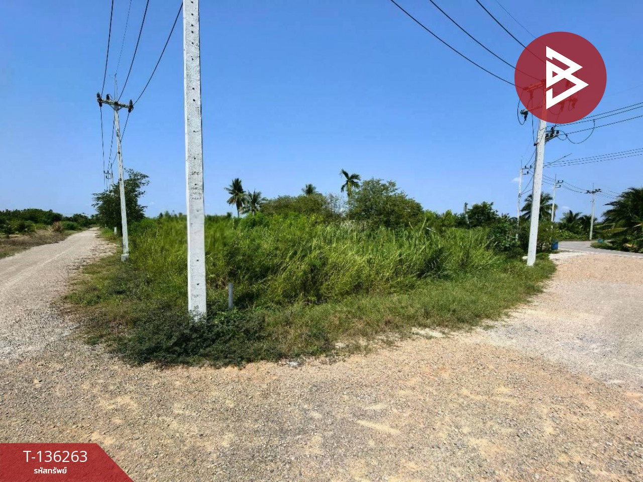 ขายที่ดิน เนื้อที่ 3 งาน ชัยมงคล สมุทรสาคร 7