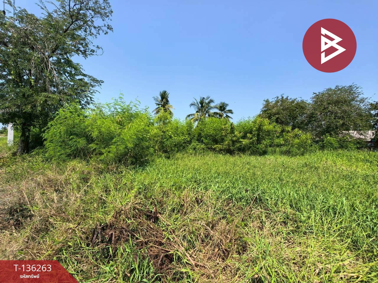 ขายที่ดิน เนื้อที่ 3 งาน ชัยมงคล สมุทรสาคร 8