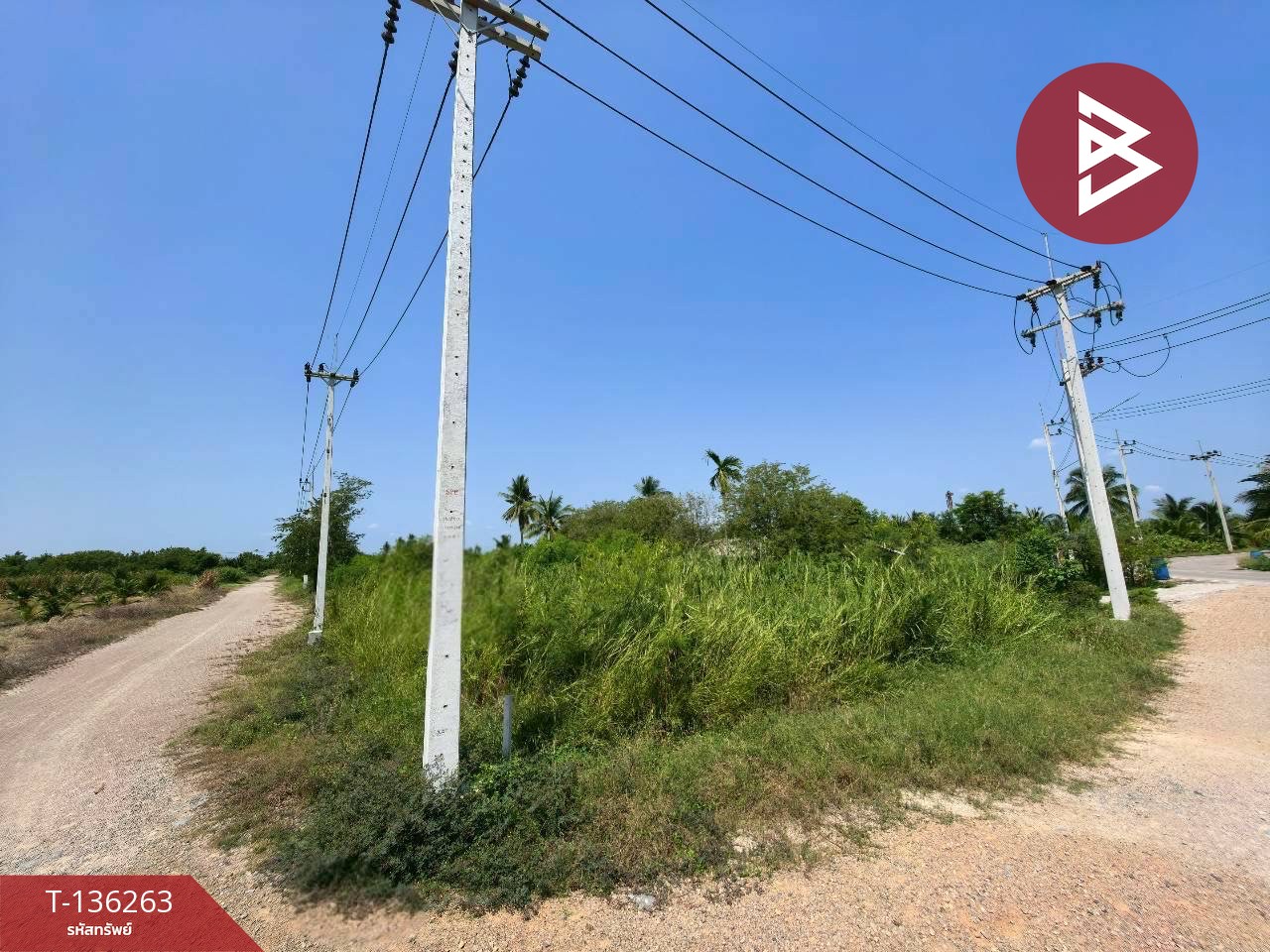 ขายที่ดิน เนื้อที่ 3 งาน ชัยมงคล สมุทรสาคร 2