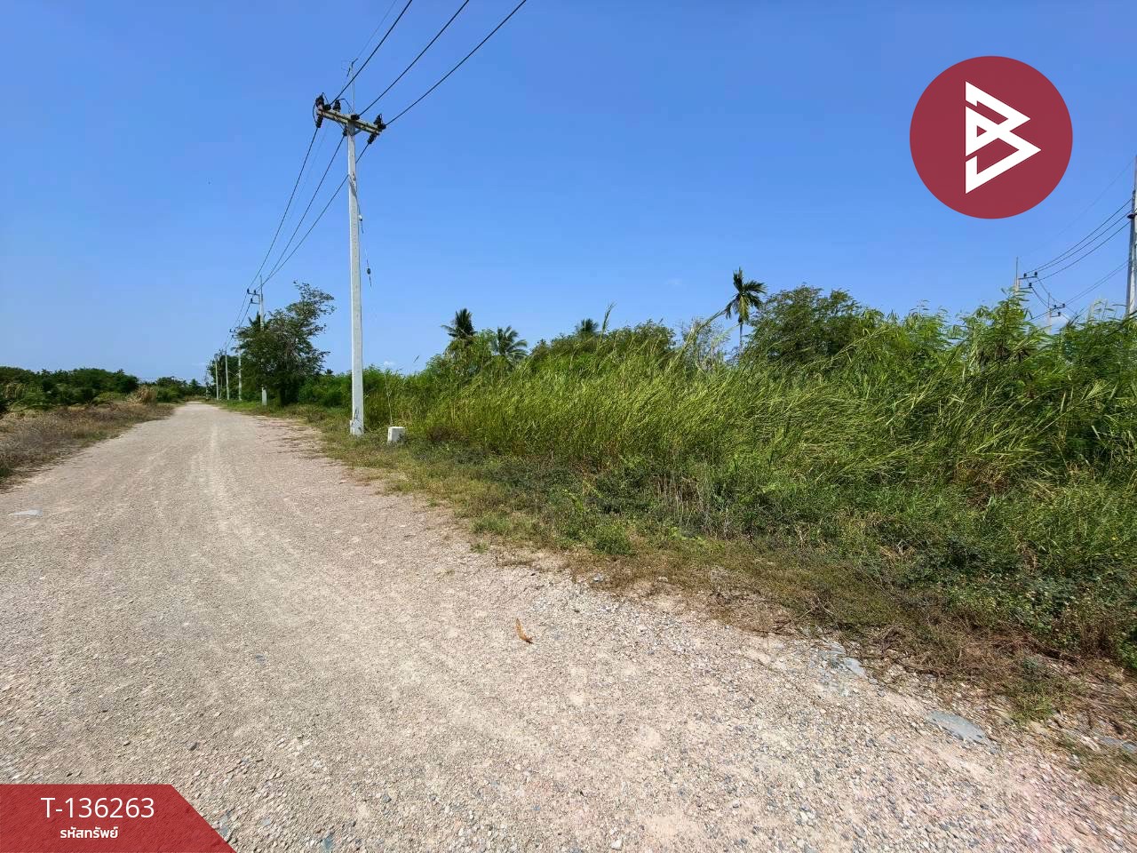 ขายที่ดิน เนื้อที่ 3 งาน ชัยมงคล สมุทรสาคร 4