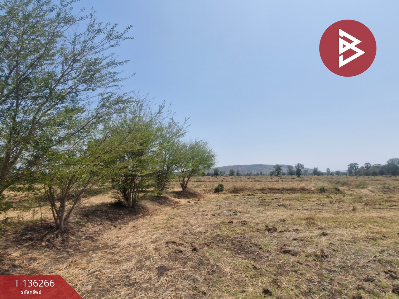 ขายที่ดิน เนื้อที่ 29 ไร่ 1 งาน 65 ตร.วา โคกสำโรง ลพบุรี 11