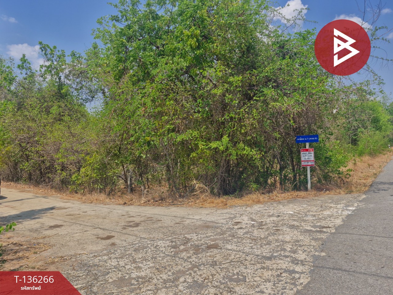 ขายที่ดิน เนื้อที่ 29 ไร่ 1 งาน 65 ตร.วา โคกสำโรง ลพบุรี 15