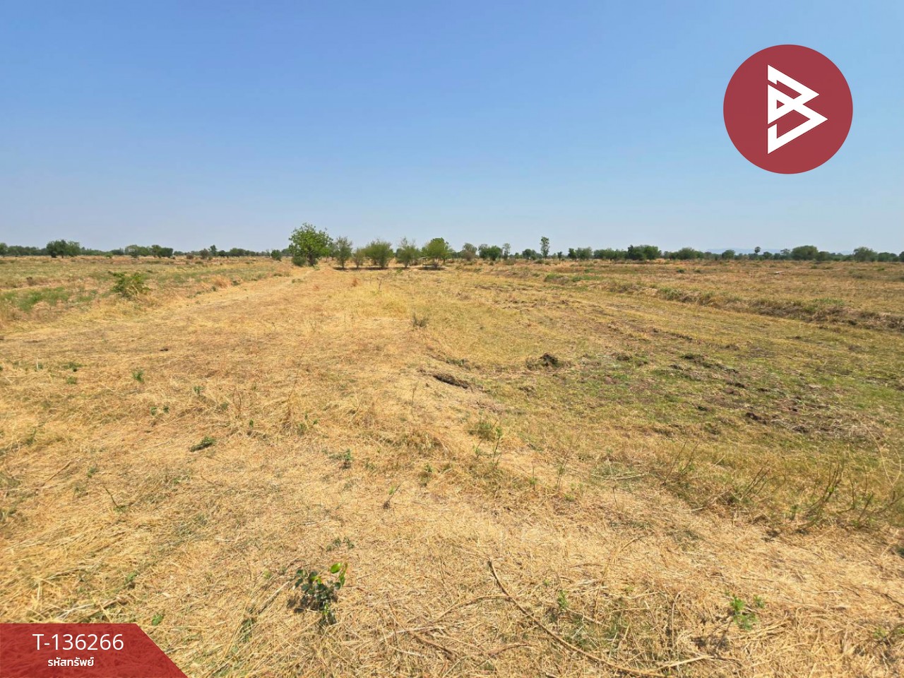 ขายที่ดิน เนื้อที่ 29 ไร่ 1 งาน 65 ตร.วา โคกสำโรง ลพบุรี 10