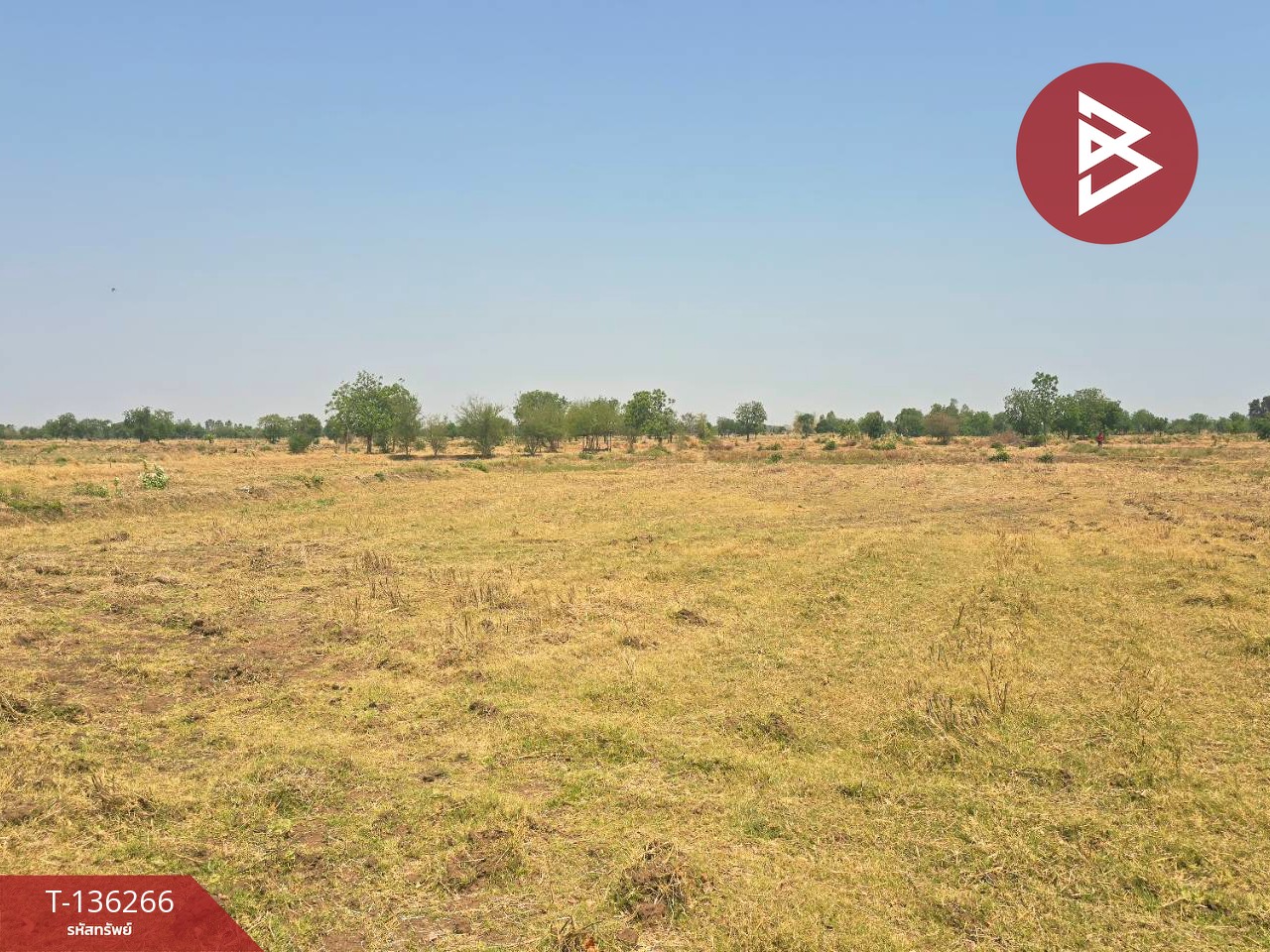 ขายที่ดิน เนื้อที่ 29 ไร่ 1 งาน 65 ตร.วา โคกสำโรง ลพบุรี 1