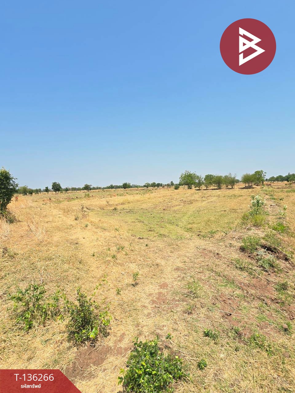 ขายที่ดิน เนื้อที่ 29 ไร่ 1 งาน 65 ตร.วา โคกสำโรง ลพบุรี 8