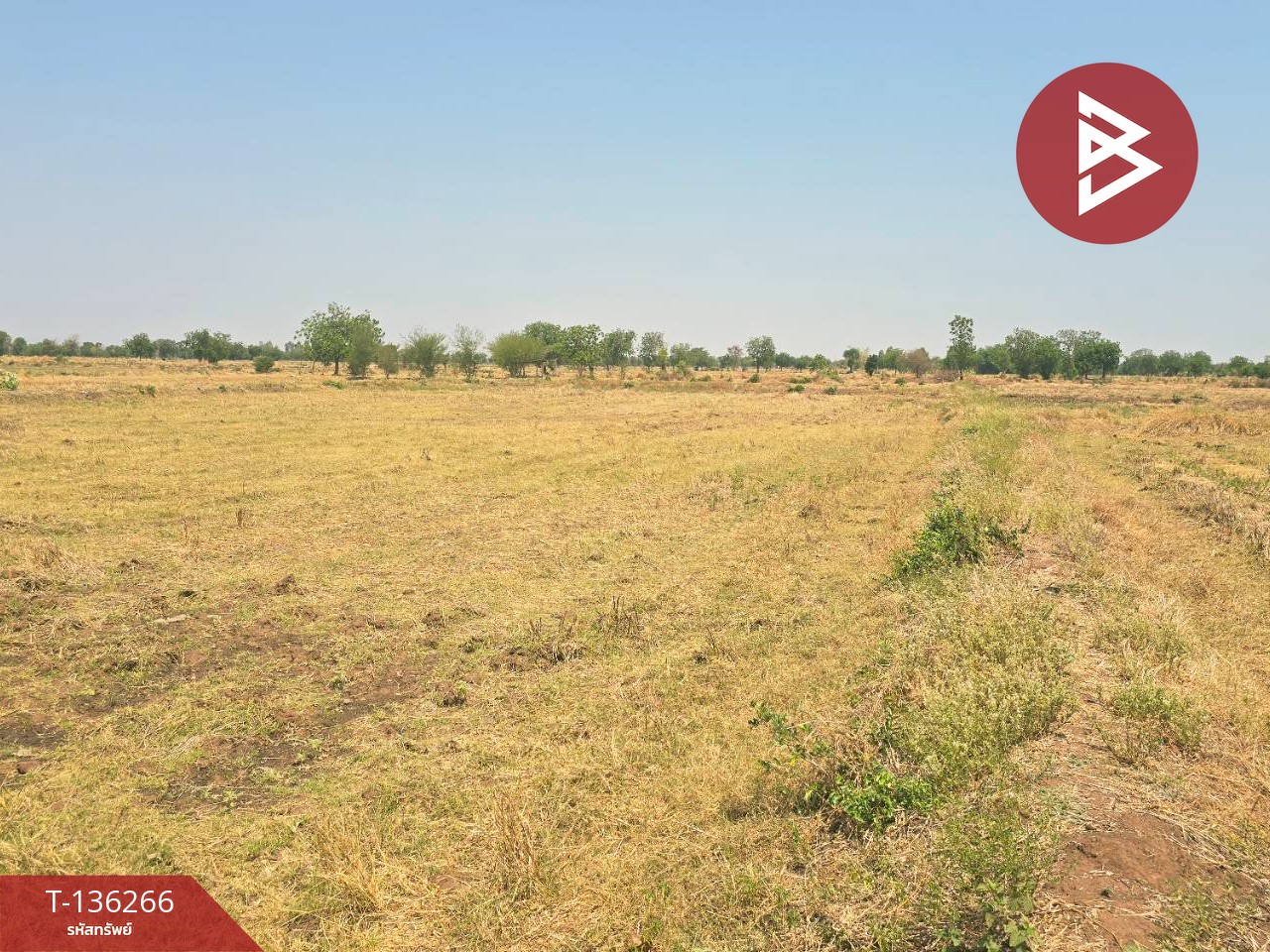 ขายที่ดิน เนื้อที่ 29 ไร่ 1 งาน 65 ตร.วา โคกสำโรง ลพบุรี 9