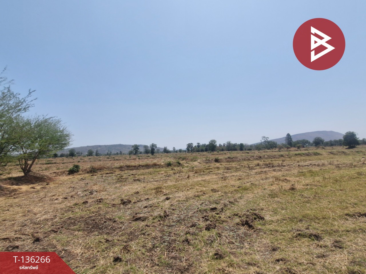 ขายที่ดิน เนื้อที่ 29 ไร่ 1 งาน 65 ตร.วา โคกสำโรง ลพบุรี 13