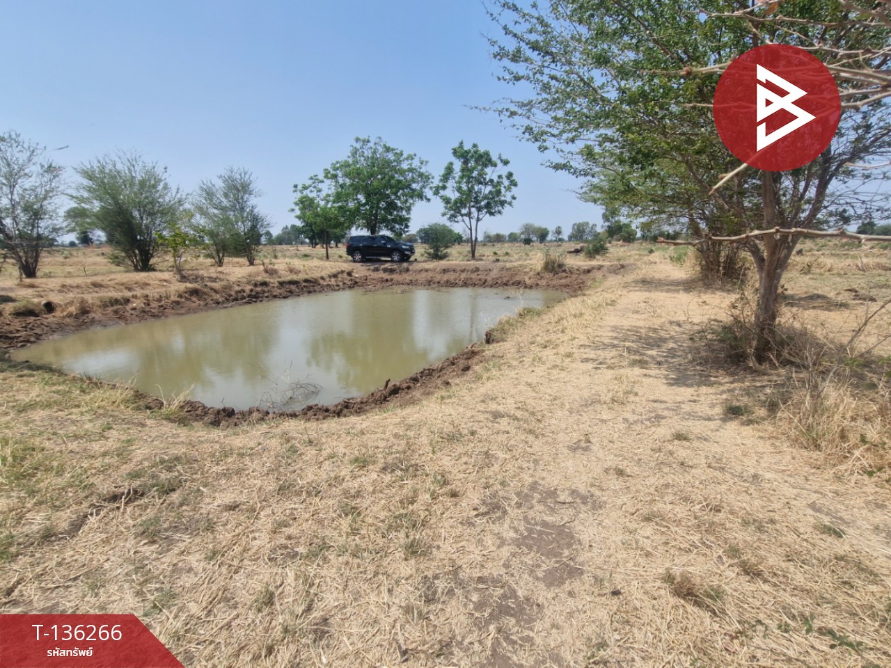 ขายที่ดิน เนื้อที่ 29 ไร่ 1 งาน 65 ตร.วา โคกสำโรง ลพบุรี 12