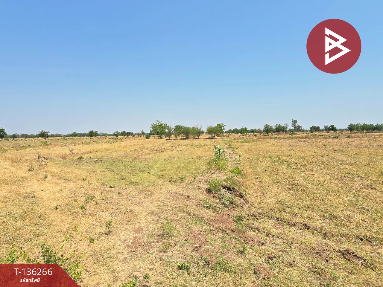 ขายที่ดิน เนื้อที่ 29 ไร่ 1 งาน 65 ตร.วา โคกสำโรง ลพบุรี 7