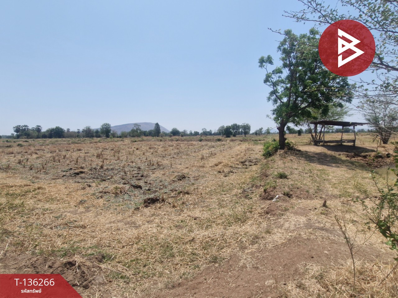 ขายที่ดิน เนื้อที่ 29 ไร่ 1 งาน 65 ตร.วา โคกสำโรง ลพบุรี 14