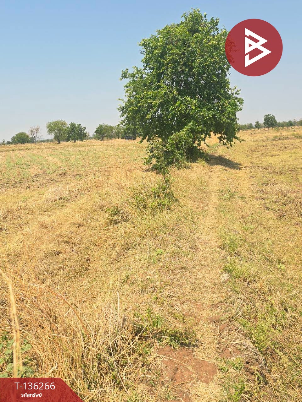 ขายที่ดิน เนื้อที่ 29 ไร่ 1 งาน 65 ตร.วา โคกสำโรง ลพบุรี 4