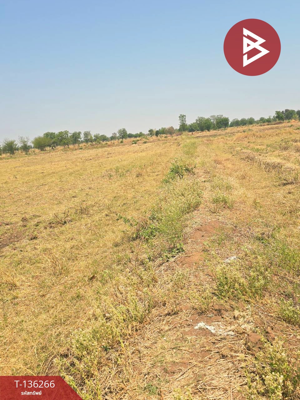 ขายที่ดิน เนื้อที่ 29 ไร่ 1 งาน 65 ตร.วา โคกสำโรง ลพบุรี 5