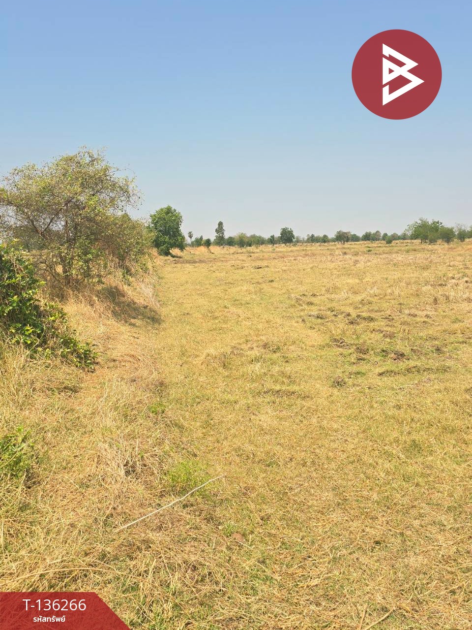 ขายที่ดิน เนื้อที่ 29 ไร่ 1 งาน 65 ตร.วา โคกสำโรง ลพบุรี 2