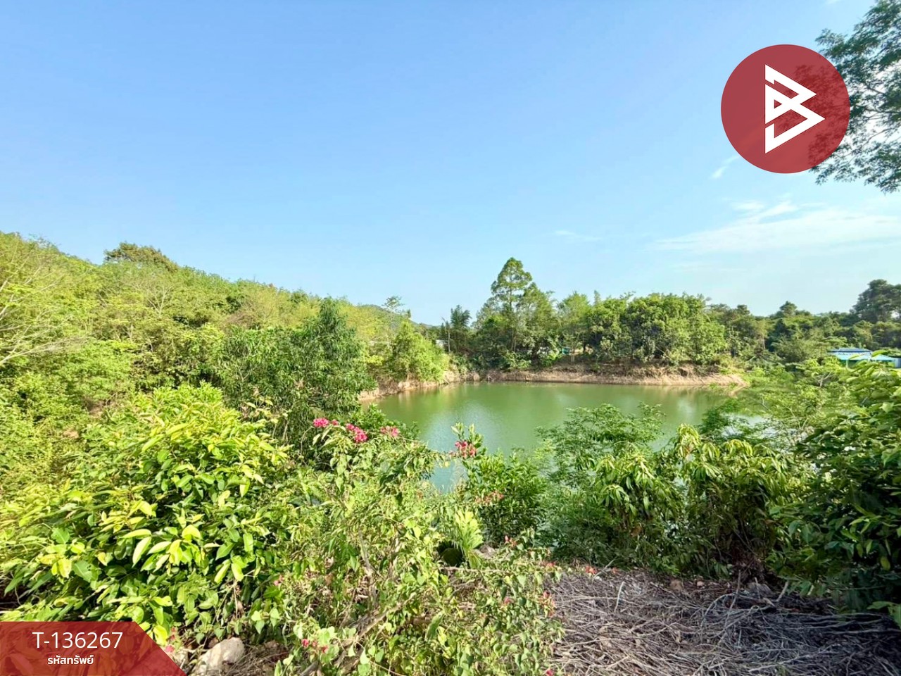 ขายกิจการรีสอร์ท เนื้อที่ 25 ไร่ 2 งาย 9.8 ตร.วา ท่าใหม่ จันทบุรี 15