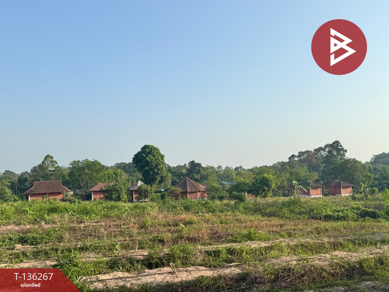 ขายกิจการรีสอร์ท เนื้อที่ 25 ไร่ 2 งาย 9.8 ตร.วา ท่าใหม่ จันทบุรี 13